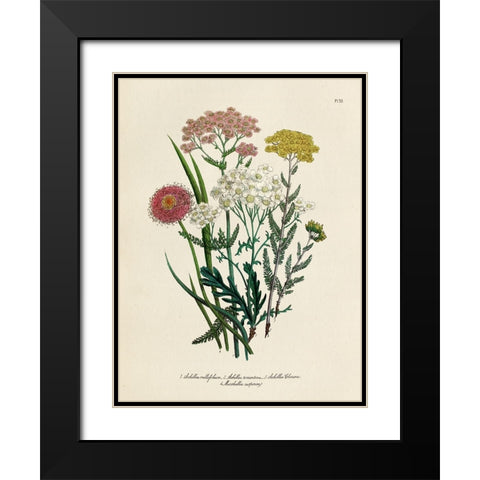 Vintage Flowers II Black Modern Wood Framed Art Print with Double Matting by Piddix