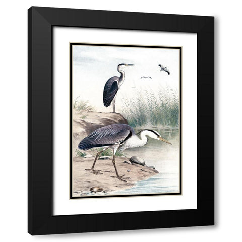 Along the Shores I Black Modern Wood Framed Art Print with Double Matting by Piddix