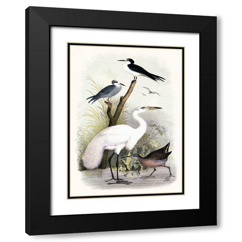 Little Egret and Friends Black Modern Wood Framed Art Print with Double Matting by Piddix