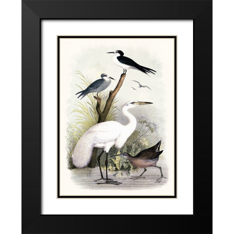Little Egret and Friends Black Modern Wood Framed Art Print with Double Matting by Piddix