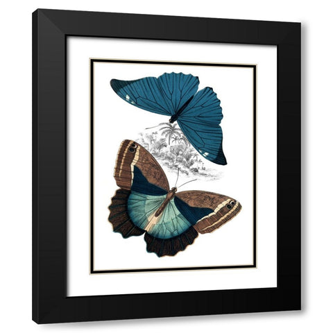 Butterfly Study II Black Modern Wood Framed Art Print with Double Matting by Piddix