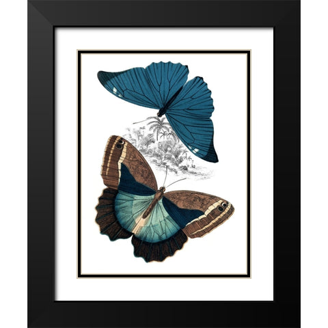 Butterfly Study II Black Modern Wood Framed Art Print with Double Matting by Piddix