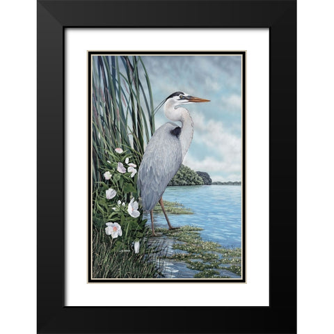 Great Blue Heron Black Modern Wood Framed Art Print with Double Matting by Harris, James
