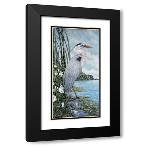 Great Blue Heron Black Modern Wood Framed Art Print with Double Matting by Harris, James