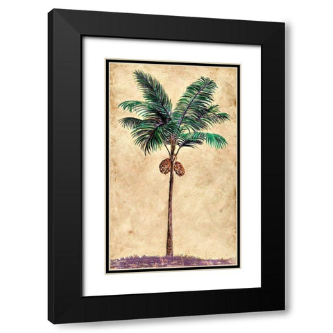 Coconut Tribal Palm II Black Modern Wood Framed Art Print with Double Matting by Pattinian, Merri