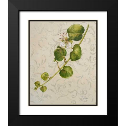 Botanica I Black Modern Wood Framed Art Print with Double Matting by Pinto, Patricia