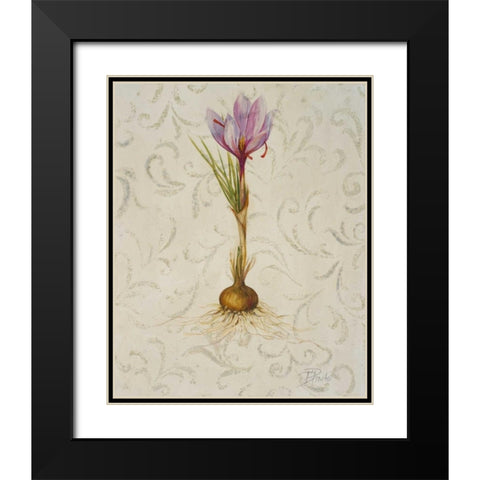 Botanica III Black Modern Wood Framed Art Print with Double Matting by Pinto, Patricia