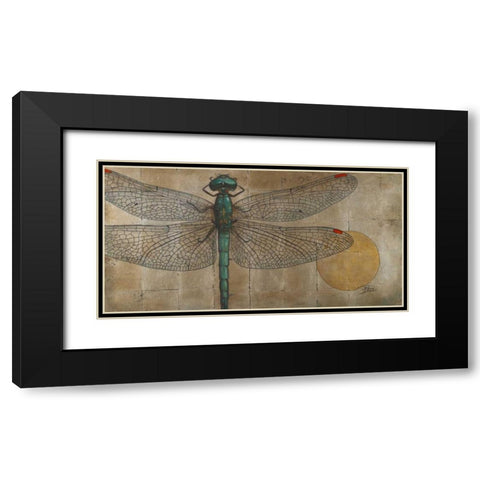 Dragonfly on Silver Black Modern Wood Framed Art Print with Double Matting by Pinto, Patricia
