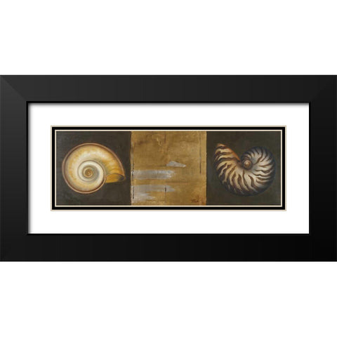 Seashells I Black Modern Wood Framed Art Print with Double Matting by Pinto, Patricia