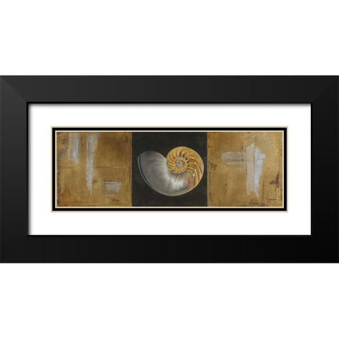 Seashells II Black Modern Wood Framed Art Print with Double Matting by Pinto, Patricia