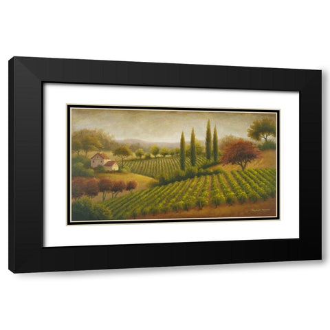 Vineyard In The Sun I Black Modern Wood Framed Art Print with Double Matting by Marcon, Michael