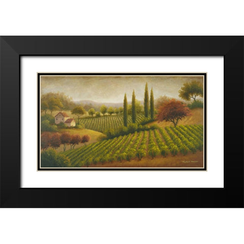 Vineyard In The Sun I Black Modern Wood Framed Art Print with Double Matting by Marcon, Michael