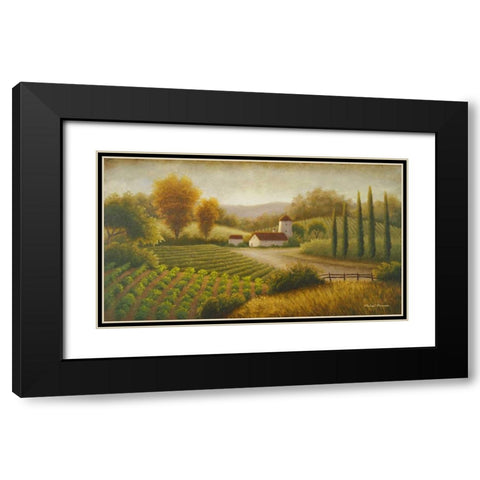 Vineyard In The Sun II Black Modern Wood Framed Art Print with Double Matting by Marcon, Michael