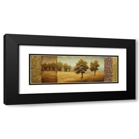 Golden Valley I Black Modern Wood Framed Art Print with Double Matting by Marcon, Michael