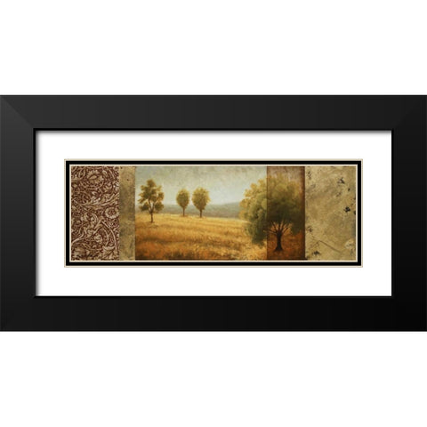Golden Valley II Black Modern Wood Framed Art Print with Double Matting by Marcon, Michael