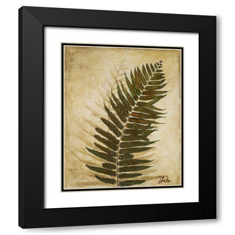 Ferns II Black Modern Wood Framed Art Print with Double Matting by Pinto, Patricia
