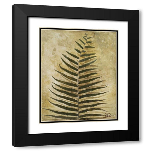 Ferns III Black Modern Wood Framed Art Print with Double Matting by Pinto, Patricia