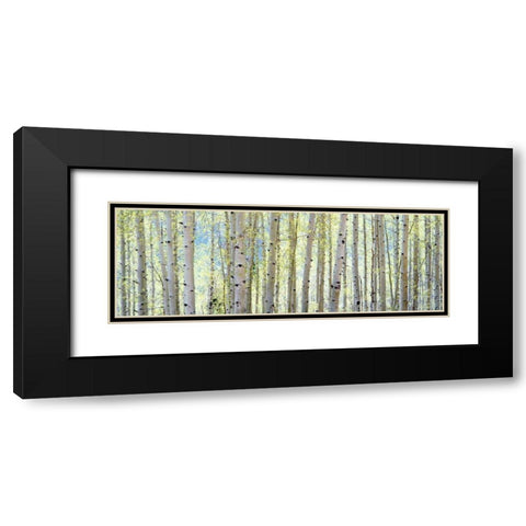 Aspen Black Modern Wood Framed Art Print with Double Matting by Lake, Shelley