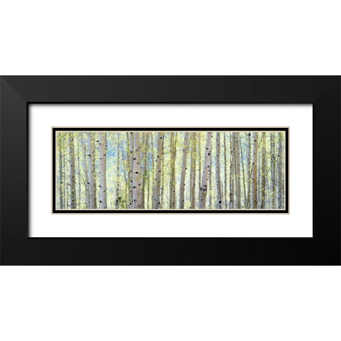Aspen Black Modern Wood Framed Art Print with Double Matting by Lake, Shelley