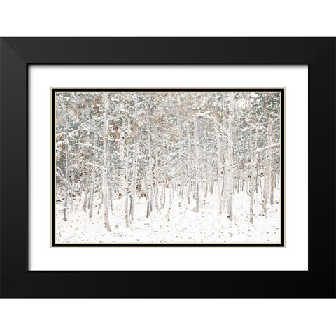 White Snow Wonderland Black Modern Wood Framed Art Print with Double Matting by Lake, Shelley