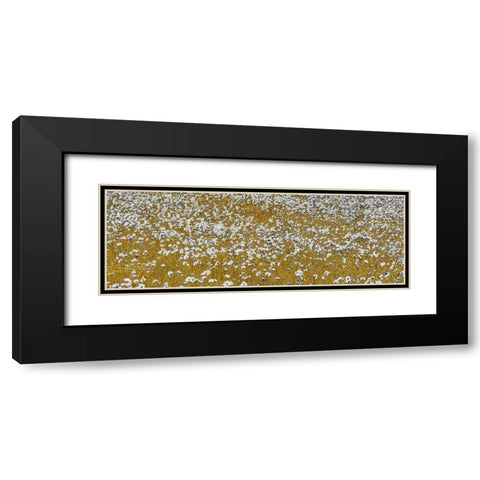 Fields of Gold Black Modern Wood Framed Art Print with Double Matting by Lake, Shelley