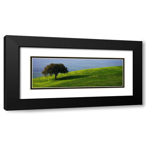 Tuscan Tree Black Modern Wood Framed Art Print with Double Matting by Lake, Shelley