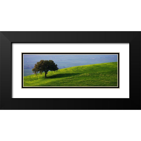 Tuscan Tree Black Modern Wood Framed Art Print with Double Matting by Lake, Shelley