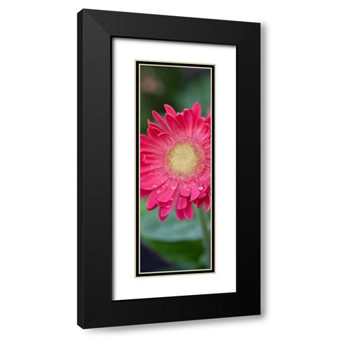 New Vision II Black Modern Wood Framed Art Print with Double Matting by Pinto, Patricia