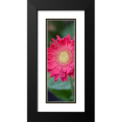 New Vision II Black Modern Wood Framed Art Print with Double Matting by Pinto, Patricia