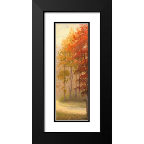 Fall Trees I Black Modern Wood Framed Art Print with Double Matting by Marcon, Michael