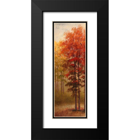 Fall Trees II Black Modern Wood Framed Art Print with Double Matting by Marcon, Michael
