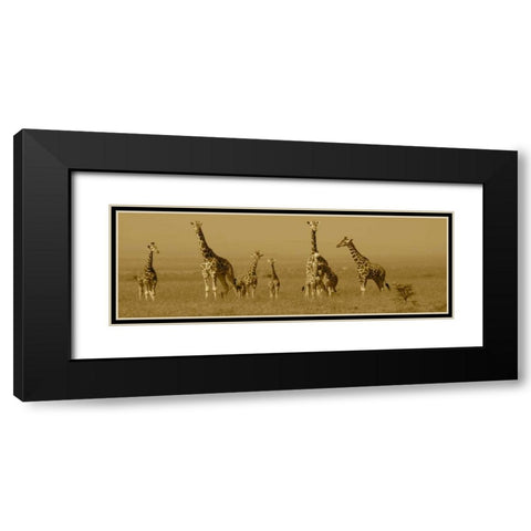 Giraffes Black Modern Wood Framed Art Print with Double Matting by Farnsworth, Sarah
