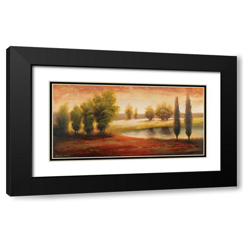Summer Gleam Black Modern Wood Framed Art Print with Double Matting by Marcon, Michael