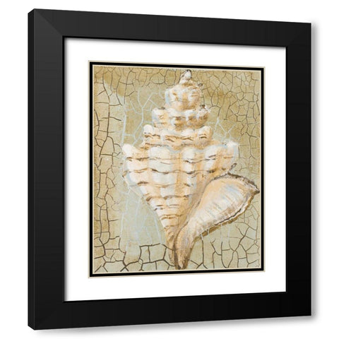 Seashell I Black Modern Wood Framed Art Print with Double Matting by Hakimipour-Ritter