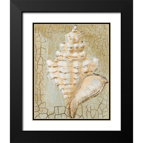 Seashell I Black Modern Wood Framed Art Print with Double Matting by Hakimipour-Ritter
