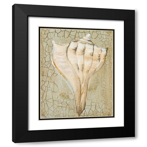 Seashell II Black Modern Wood Framed Art Print with Double Matting by Hakimipour-Ritter