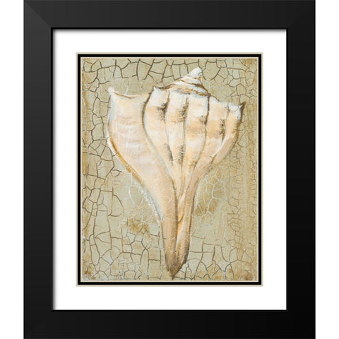 Seashell II Black Modern Wood Framed Art Print with Double Matting by Hakimipour-Ritter