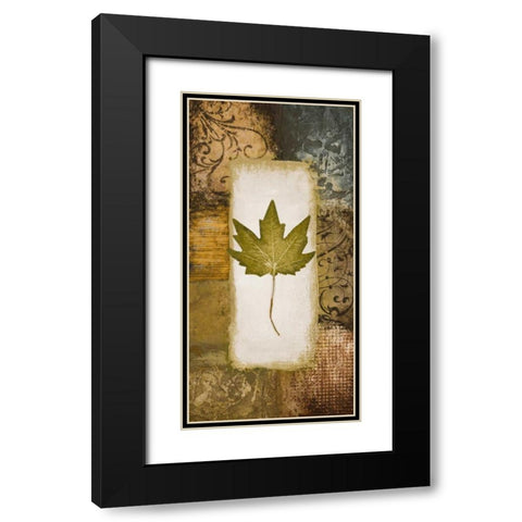 Single Leaf II Black Modern Wood Framed Art Print with Double Matting by Marcon, Michael