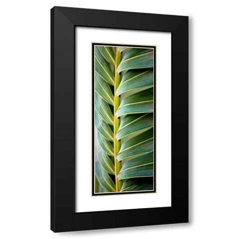 Palma I Black Modern Wood Framed Art Print with Double Matting by Bryant, Susan