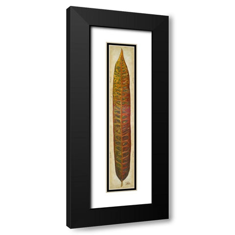 Crotos I Black Modern Wood Framed Art Print with Double Matting by Pinto, Patricia