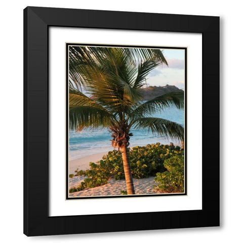 Sunset Palms I Black Modern Wood Framed Art Print with Double Matting by Bryant, Susan