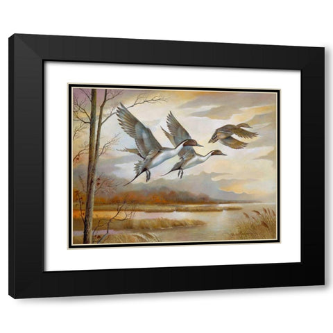 Pintails Black Modern Wood Framed Art Print with Double Matting by Manning, Ruane