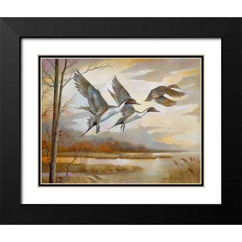 Pintails Black Modern Wood Framed Art Print with Double Matting by Manning, Ruane