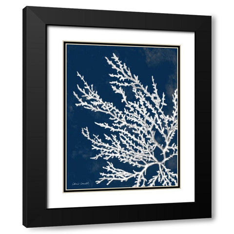 Coastal Coral I Black Modern Wood Framed Art Print with Double Matting by Loreth, Lanie