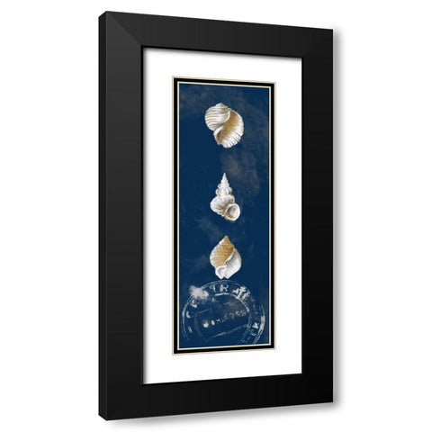Coastal Shells Panel I Black Modern Wood Framed Art Print with Double Matting by Loreth, Lanie