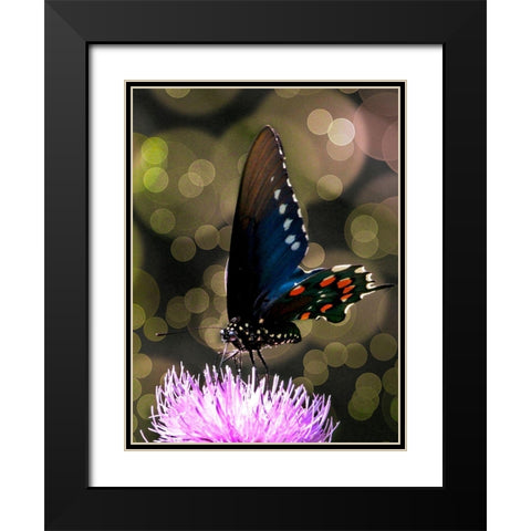 Butterfly Bokeh I Black Modern Wood Framed Art Print with Double Matting by Mansfield, Kathy