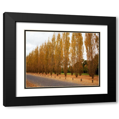 Versailles in Fall I Black Modern Wood Framed Art Print with Double Matting by Navas, Emily