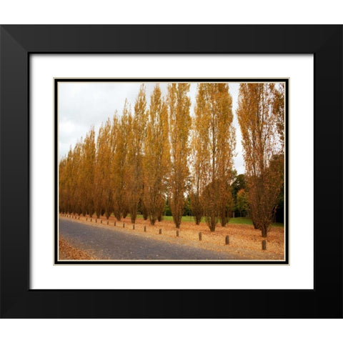 Versailles in Fall I Black Modern Wood Framed Art Print with Double Matting by Navas, Emily