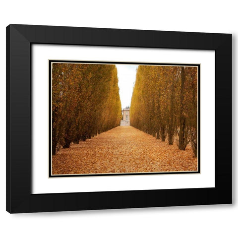 Versailles in Fall II Black Modern Wood Framed Art Print with Double Matting by Navas, Emily