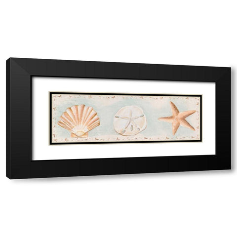 Sandy Shells I Black Modern Wood Framed Art Print with Double Matting by Hakimipour, Tiffany